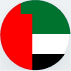 UAE flag