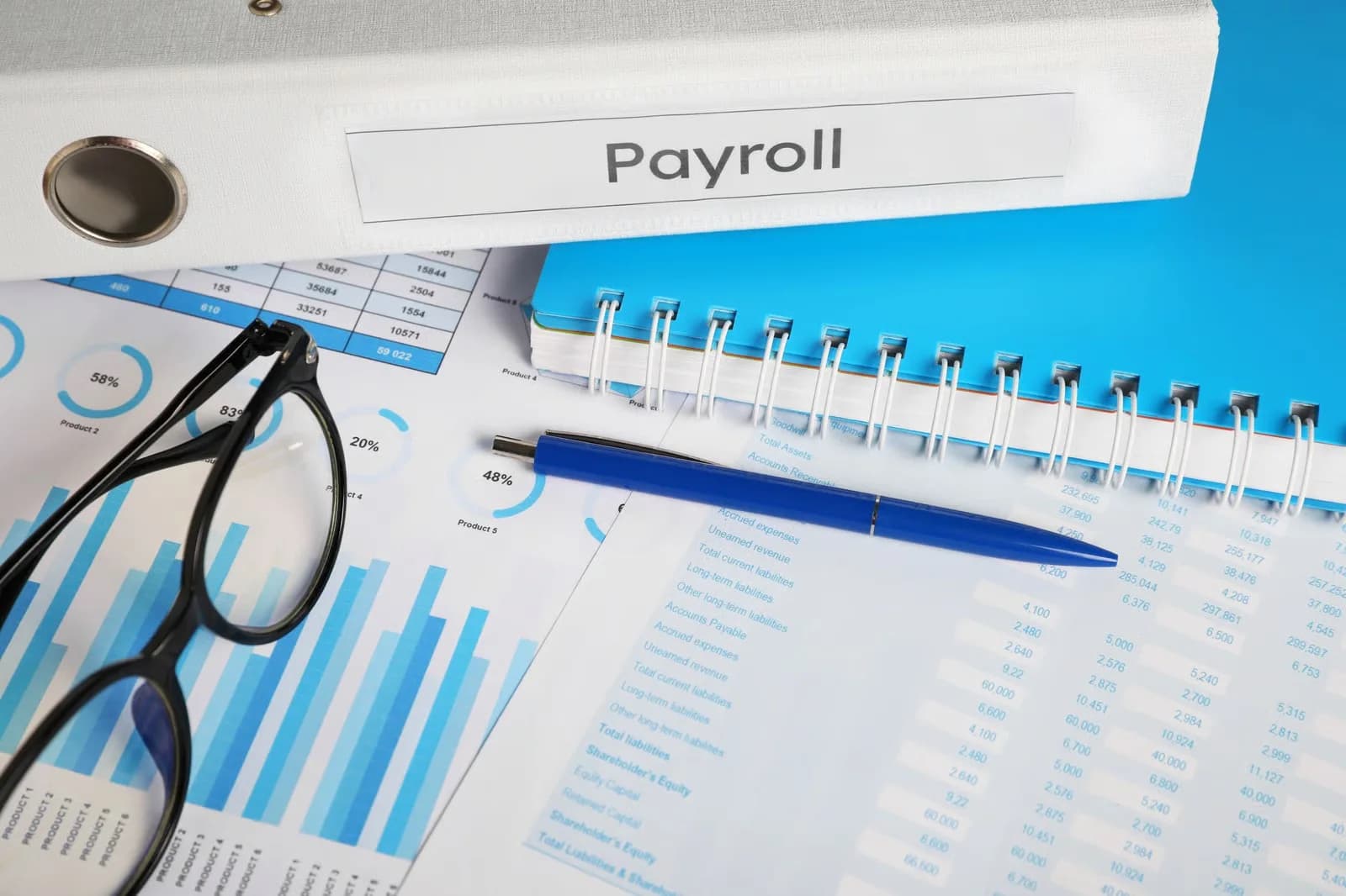 Payroll reports, records, and processing support